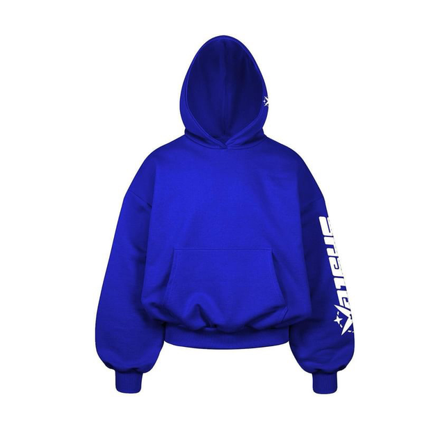 BLUE BOXY SPIDER 🕷️