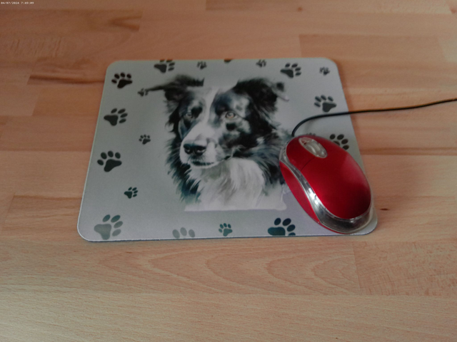 Tapis de souris Border Collie