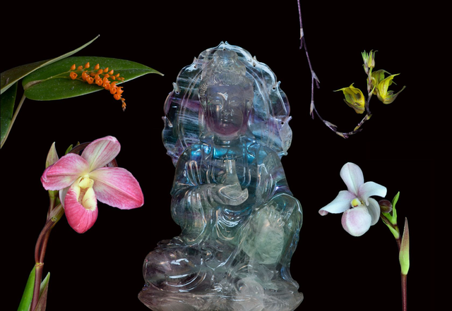 Light of the Soul Combination Essence