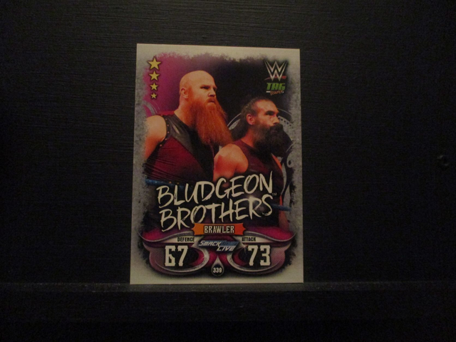 Bludgeon Brothers - Tag Teams Slam Attax Live Original Trading Card #339