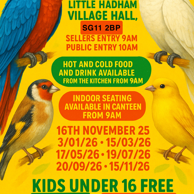 Public Entry Wristbands (10am)