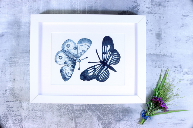 Drypoint Print: Parnasius Apollo Moth &amp; Postman Butterfly