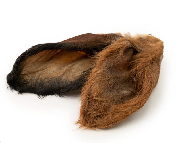 Cows Ear with hair ( large )