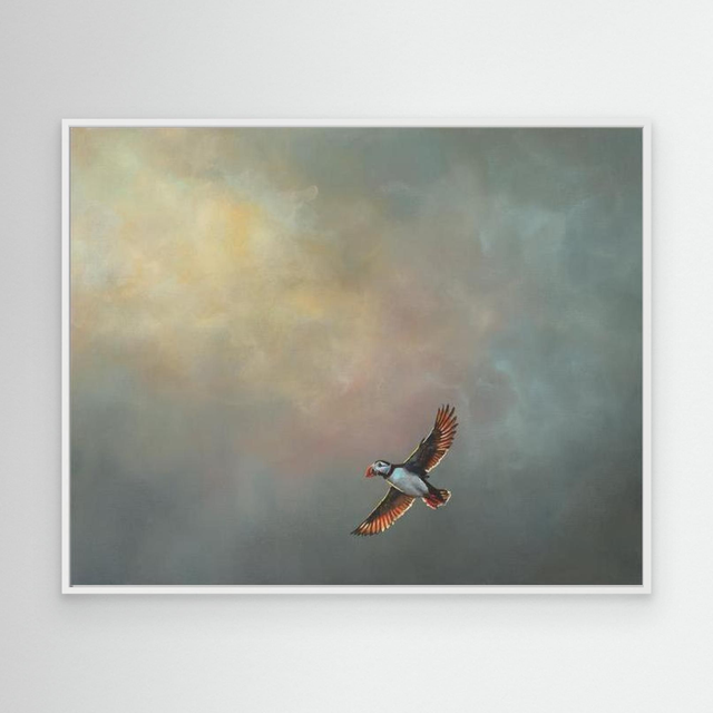 Safe Harbour - (Puffin)