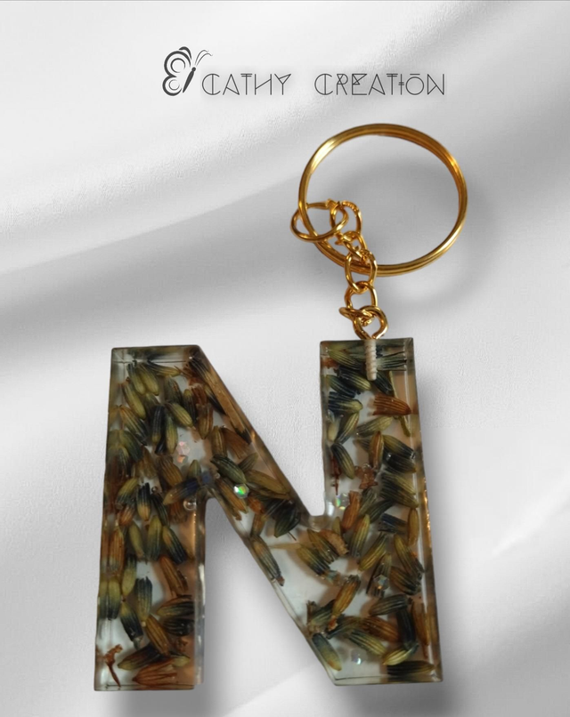 Porte clés initiale N