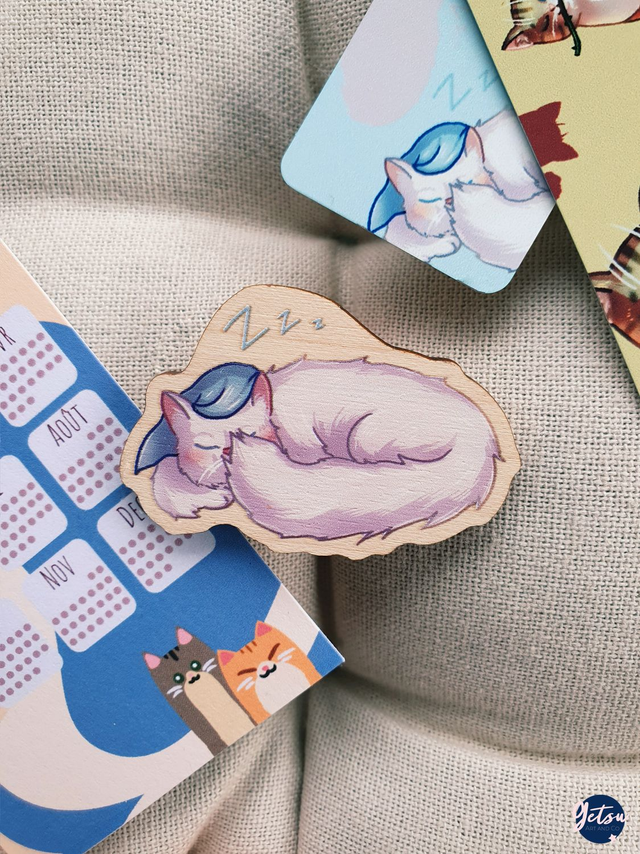 Pin&#039;s de janvier