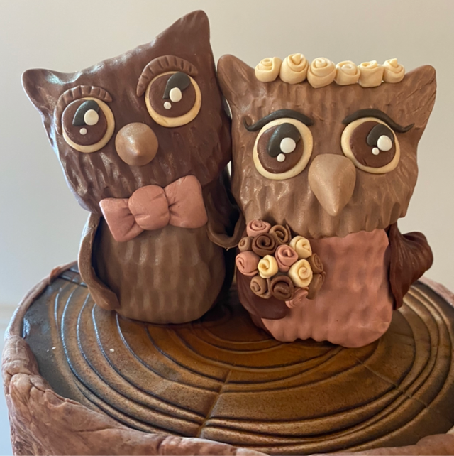 Mr &amp; Mrs Owl Topper