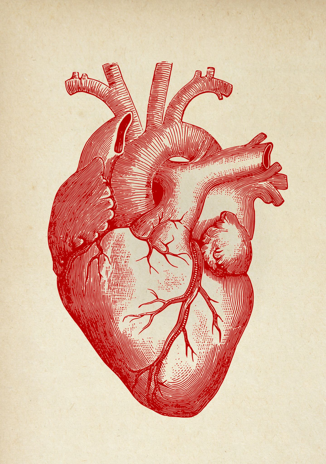 Heart Red &amp; Sepia A1