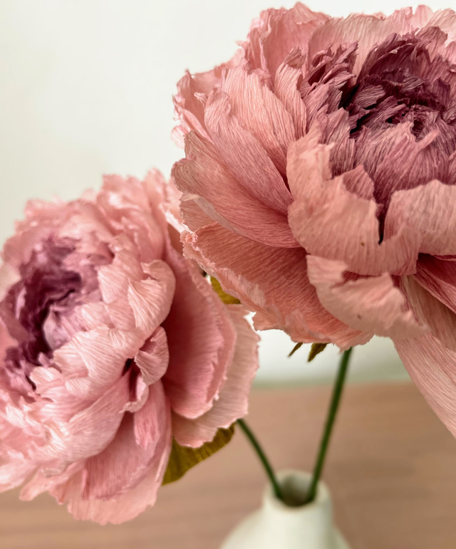 Pivoine "Almaé" avec son vase artisanal offert