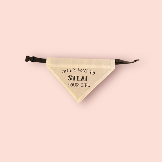 On My Way to Steal Your Girl Dog Bandana