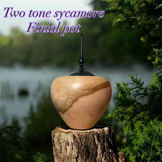 Two tone Sycamore finial pot 