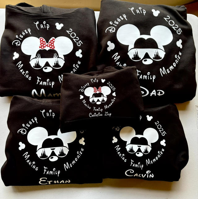 Disneyland castle circle hoodie 