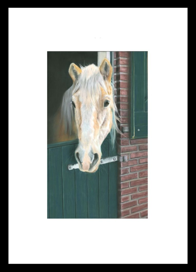Print (small) 'SOFIE' (Olde Manegepeerd)