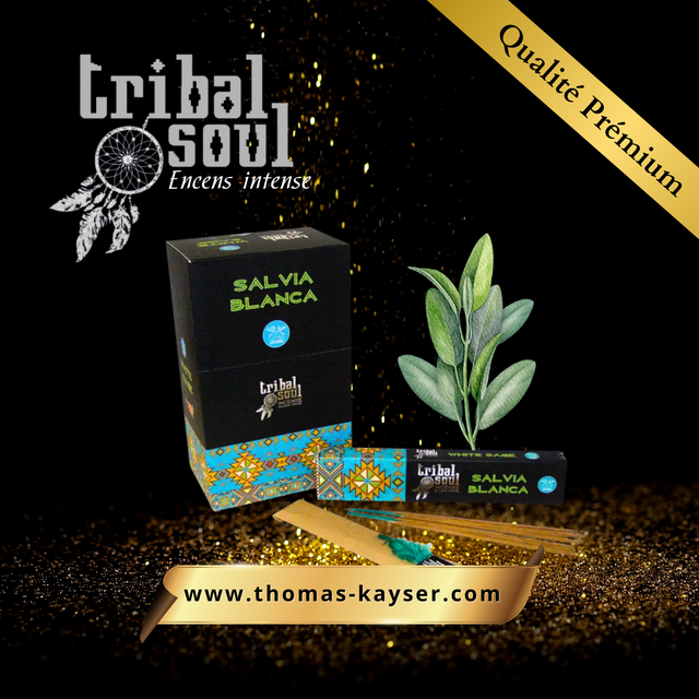 Encens Tribal Soul Sauge Blanche 15 G