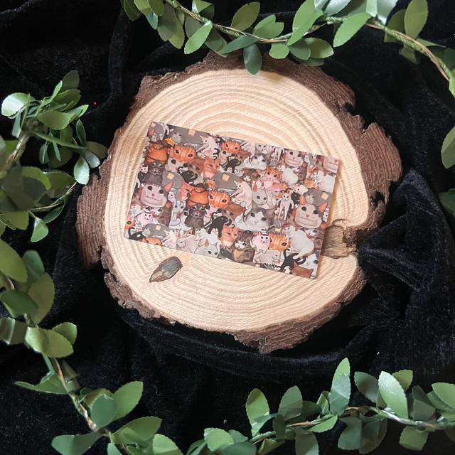 Sticker Tarjeta Crédito // Gatos meme