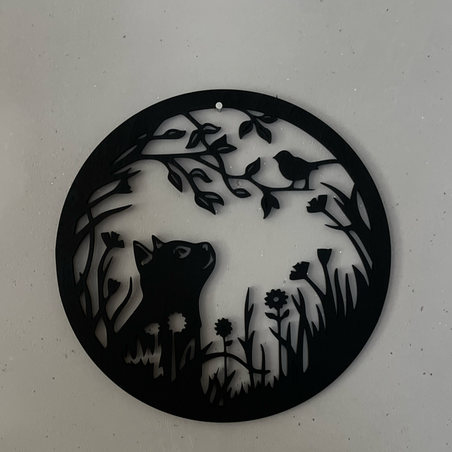 Le chat, cet explorateur 🥰