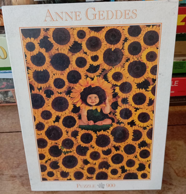 Puzzle 900 pièces Anne Geddes tournesol 