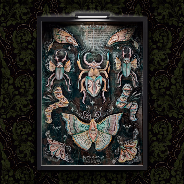 Planche d'insectes oeil - Tirages Limités