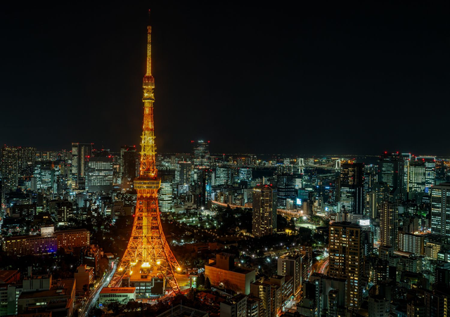Tokyo Tower Cityscape