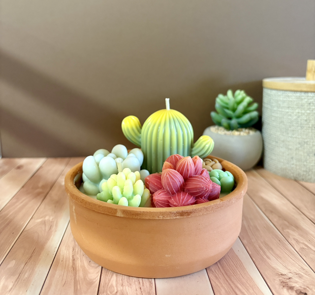 Cactus forêt Pablo - 262gr