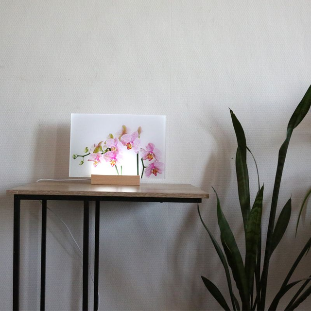  "L'Orhidée"-photo luminaire