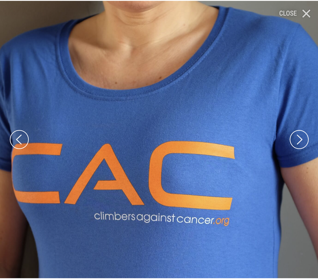 T women's fit classic