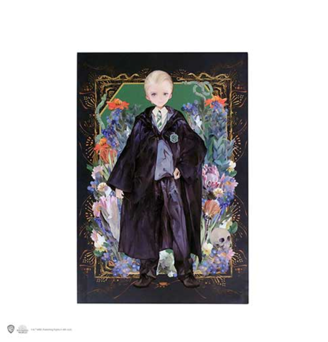 Carnet souple - Drago Malefoy Portrait