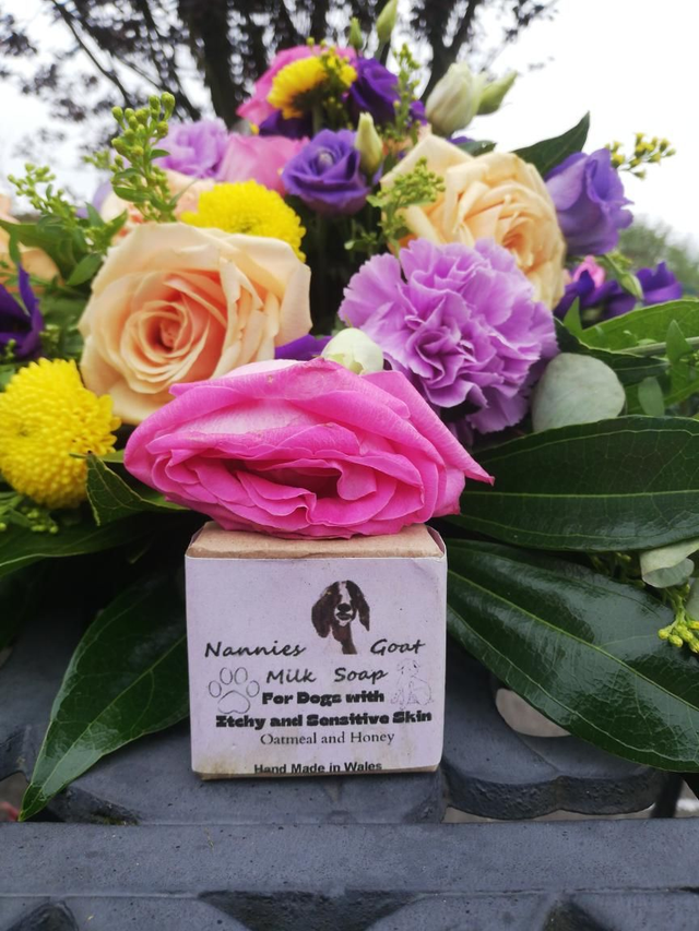 Itchy and Sensitive Skin Dog Soap 55g