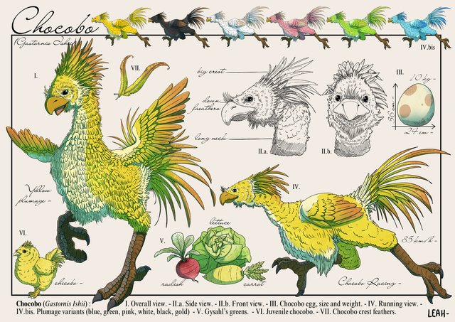 Final Fantasy - CHOCOBO