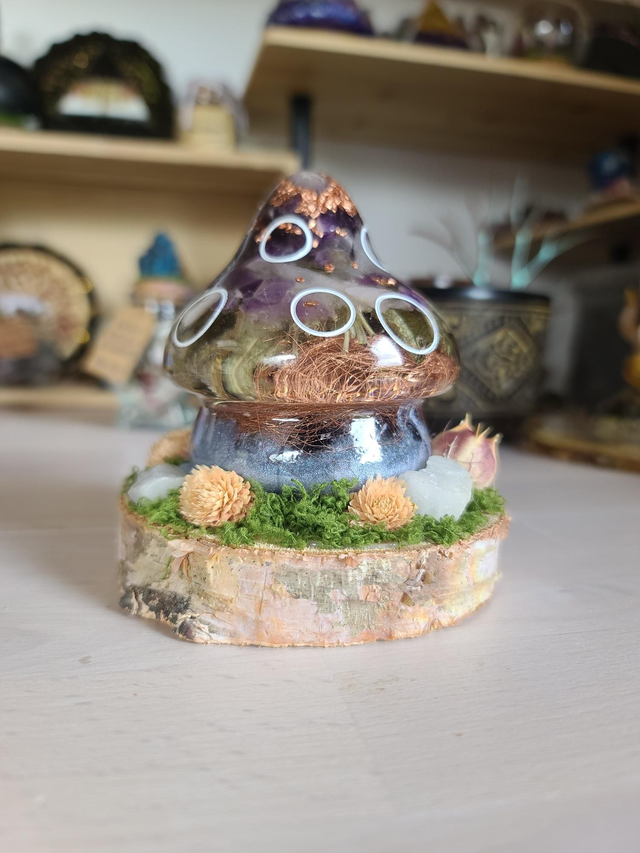 Maison champignon 🍄 "Harmonie violette"