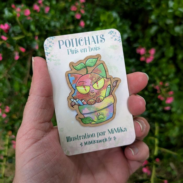 Pin's Potichat mystère