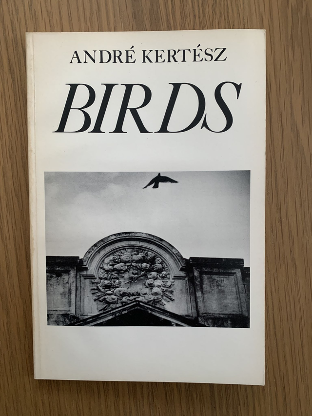 Birds By Andre Kertesz 