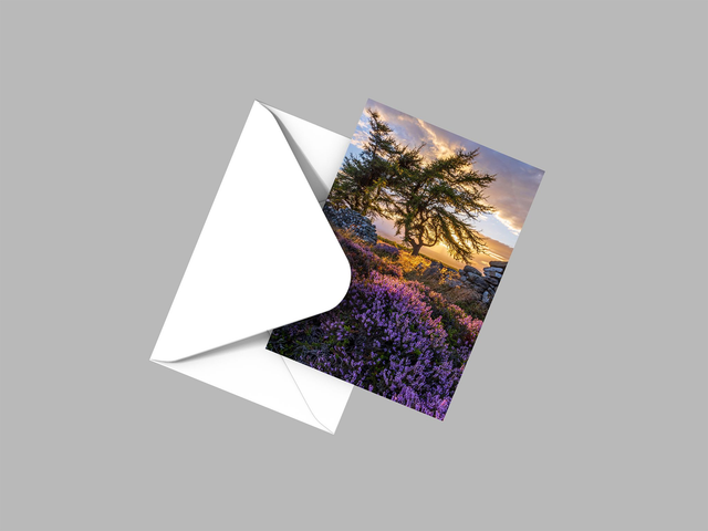 Purple and Gold, Captain Cooks Monument