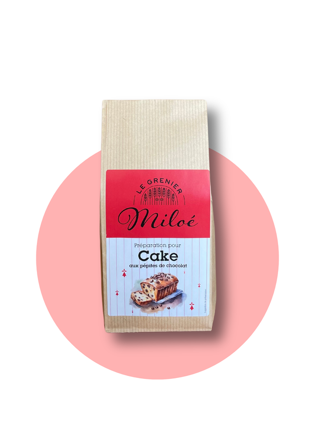 Cake aux pépites de chocolat