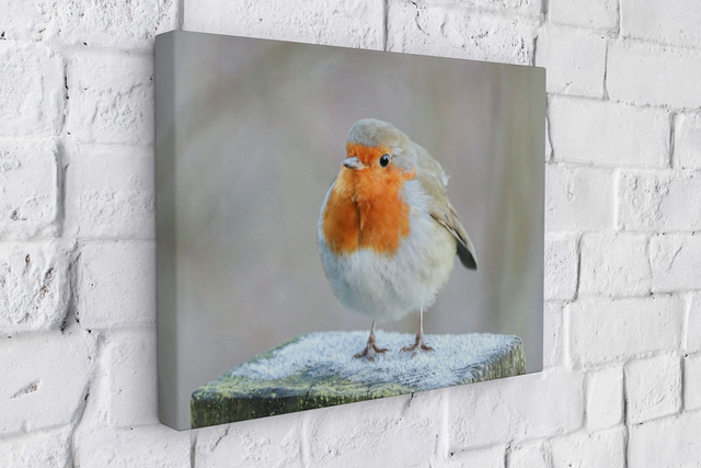 "Frosty Toes" Canvas 