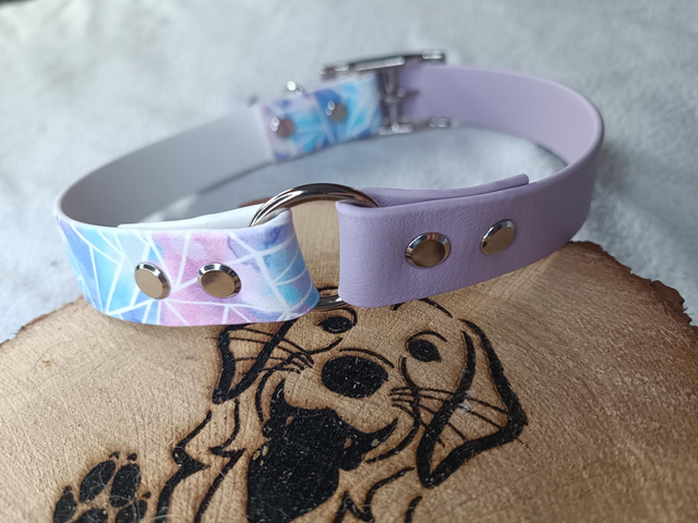 Collier biothane duo 25 mm