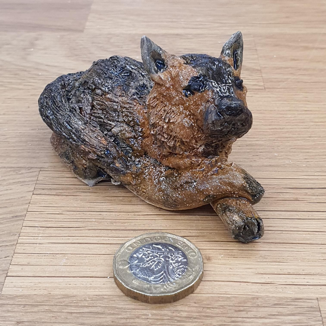 Alsatian / German sheepdog 