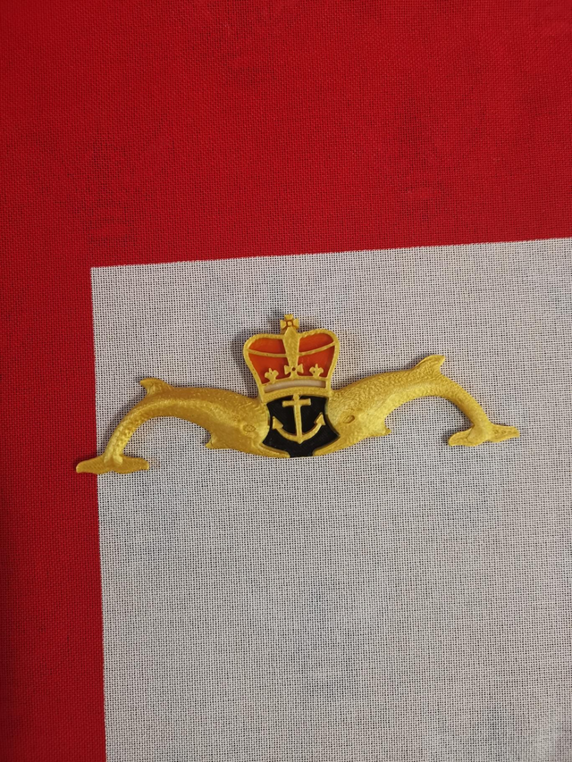 Fridge Magnet Dolphins - 3D Printed