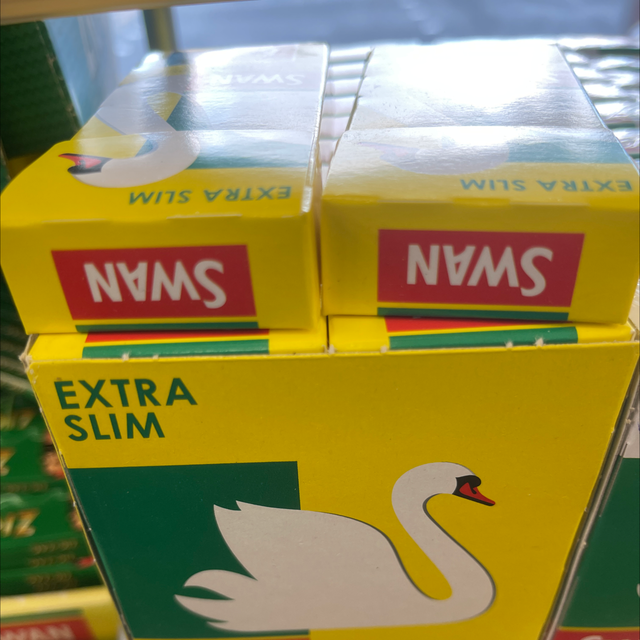 Swan 120 filters extra slim