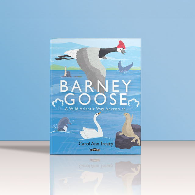 Barney Goose Book. Journey along the Wild Atlantic Way