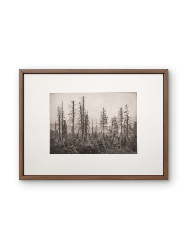 A3  'Lost' photogravure handprint framed   