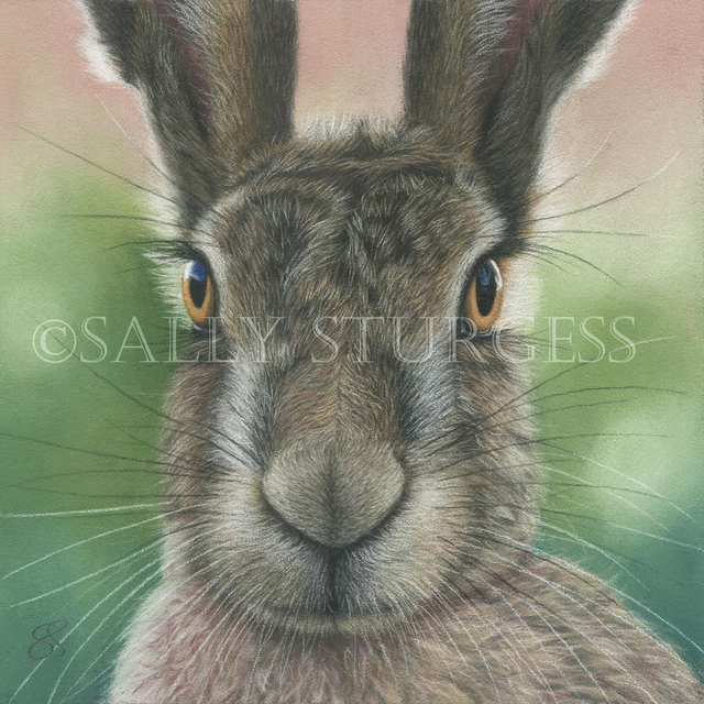 "Hair Brained" 5.5x5.5" Limited Edition Print