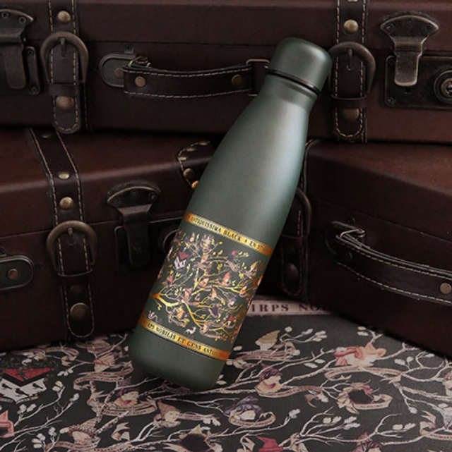Bouteille isotherme 500ml - Famille Black - Harry Potter