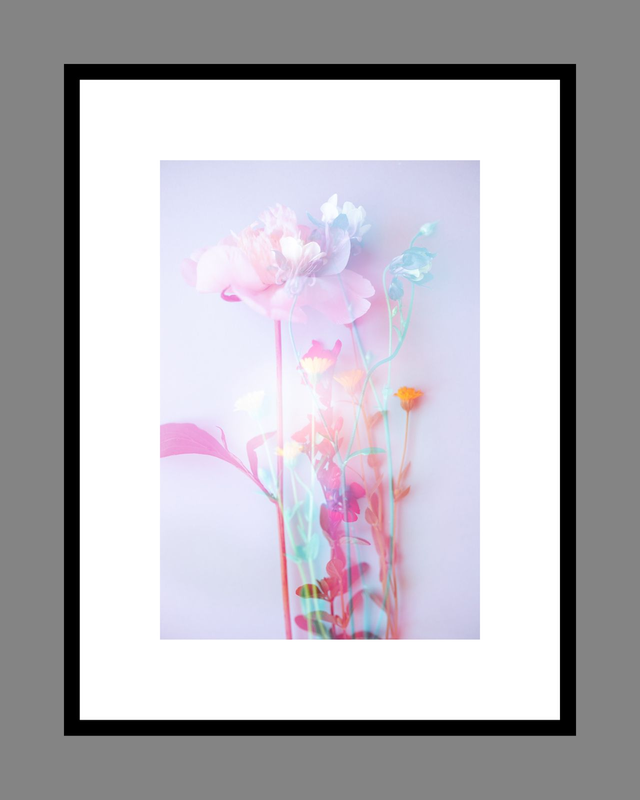 Collection du printemps * 5