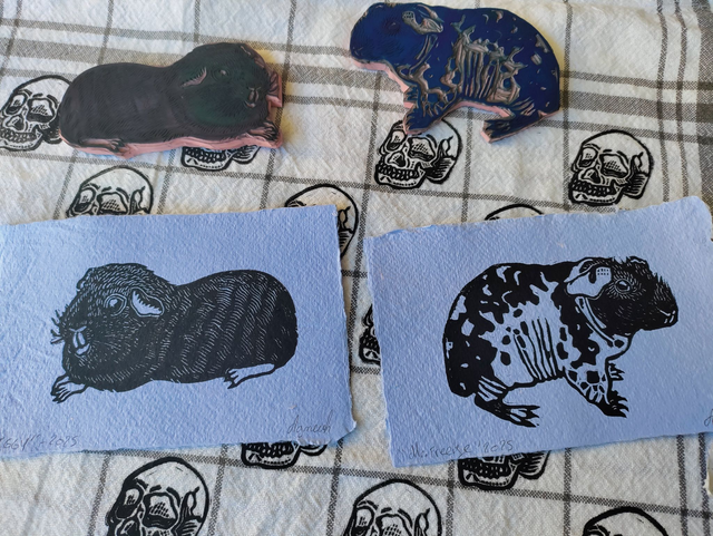 linogravure " Iggy" , cochon d'inde noir 10X15 cm