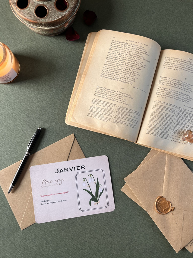 Carte 01. Janvier, le Perce-neige