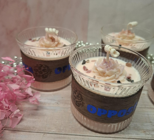 Opposées ( paradoxe prada )