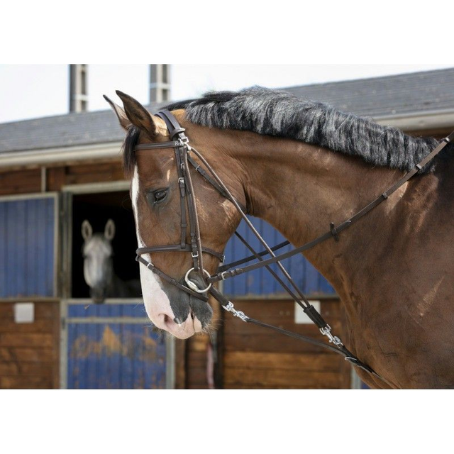 GOGUE À POULIES RIDING WORLD