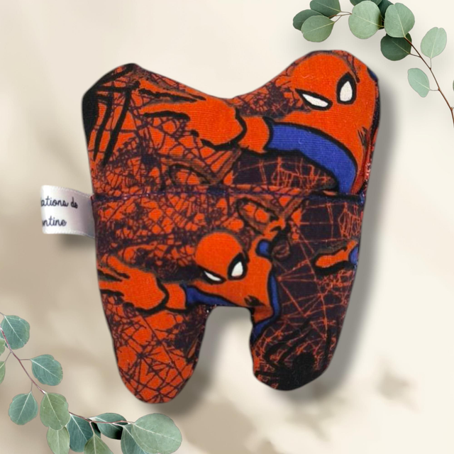 Pochette à dent homme araignée 