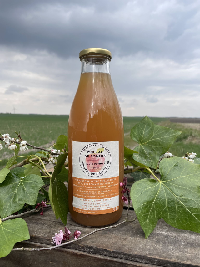 Jus de pommes 1L - Lot de 6 bouteilles